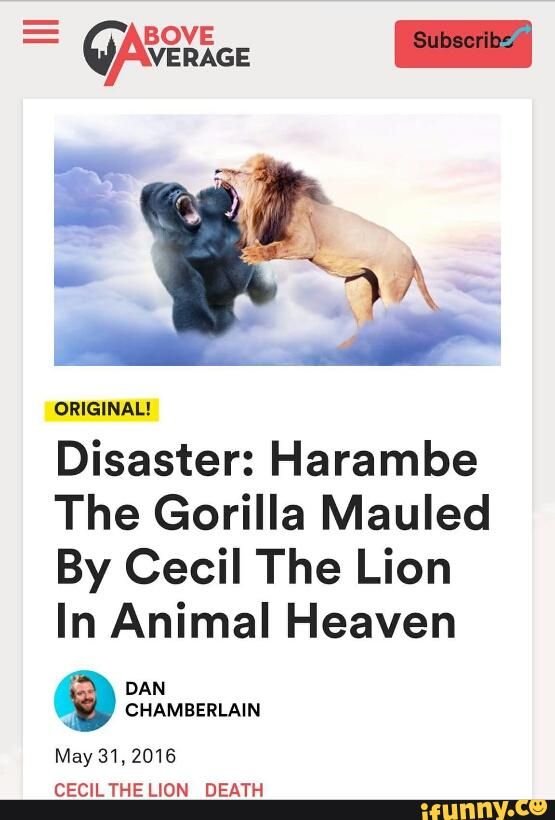 8b914e2339195801c7c3dfe91a5c6a32